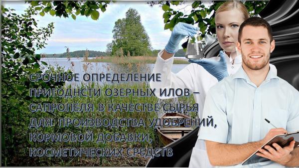 Срочный протокол лабораторного анализа и заключение о пригодности сапропеля